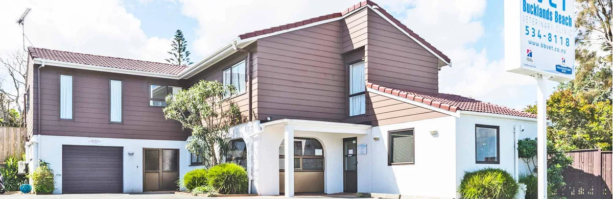 Bucklands Beach Veterinary Hospital