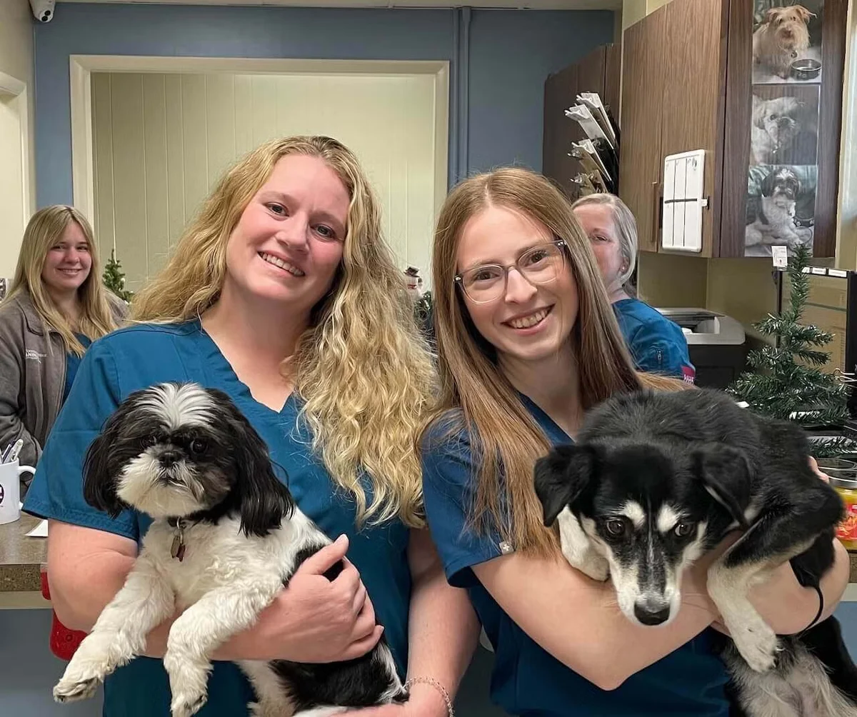 Tennessee Avenue Animal Hospital