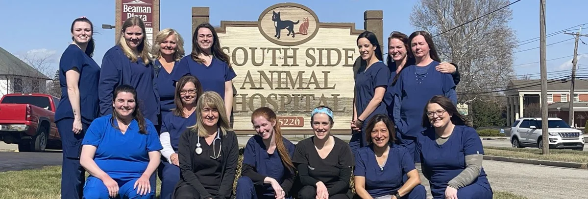 South Side Animal Hospital