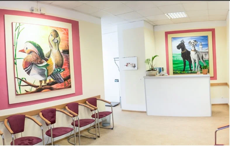 Tierarztpraxis Galina Schirow