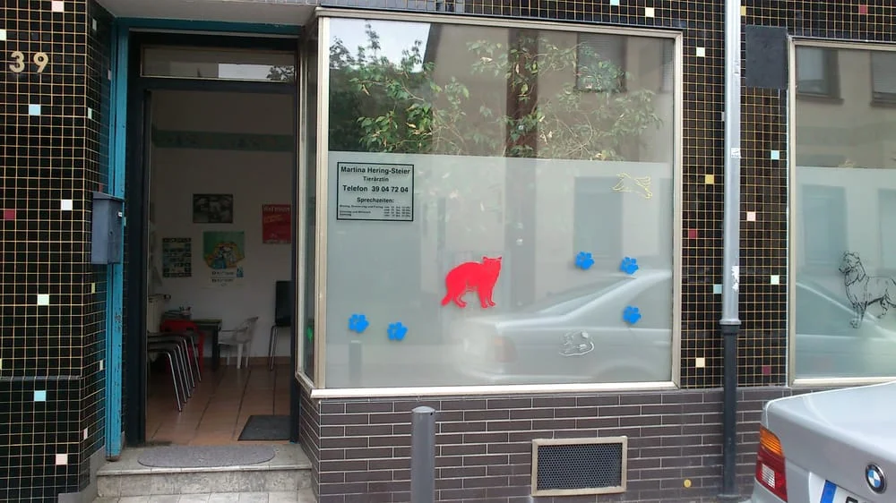 Martina Hering-Steier