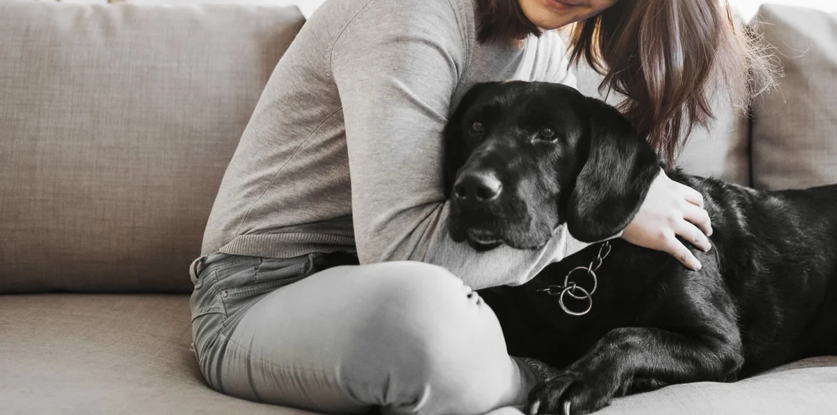 Lincoln Road Veterinary Clinic