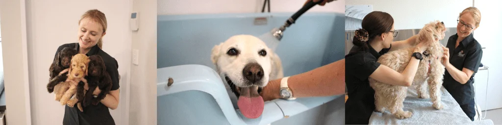 Kedron Veterinary Clinic