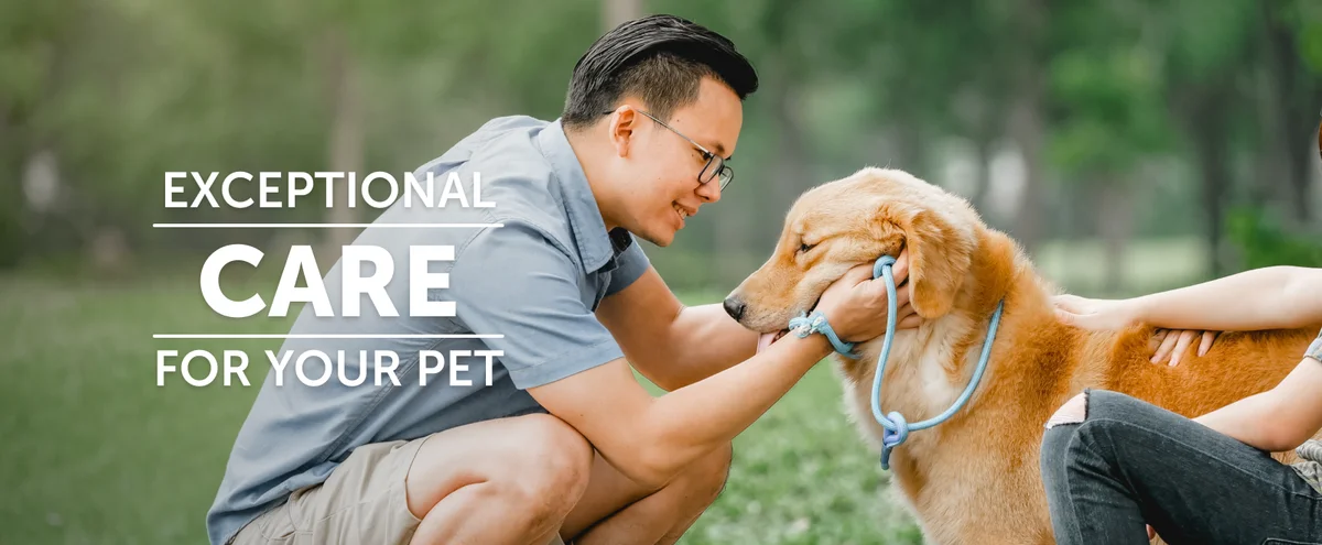 Animal Hospital of Sandy Springs