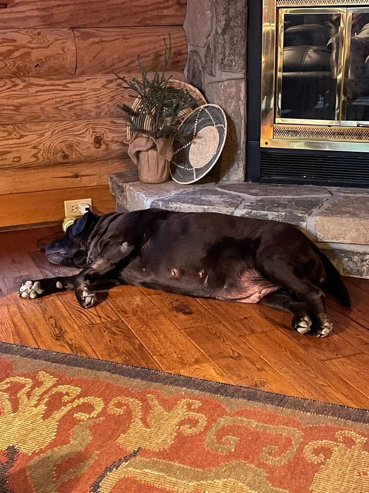 Seymour Veterinary Clinic