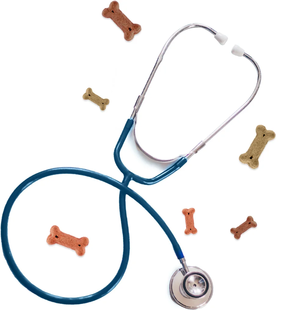 Florida Affordable Veterinary Services