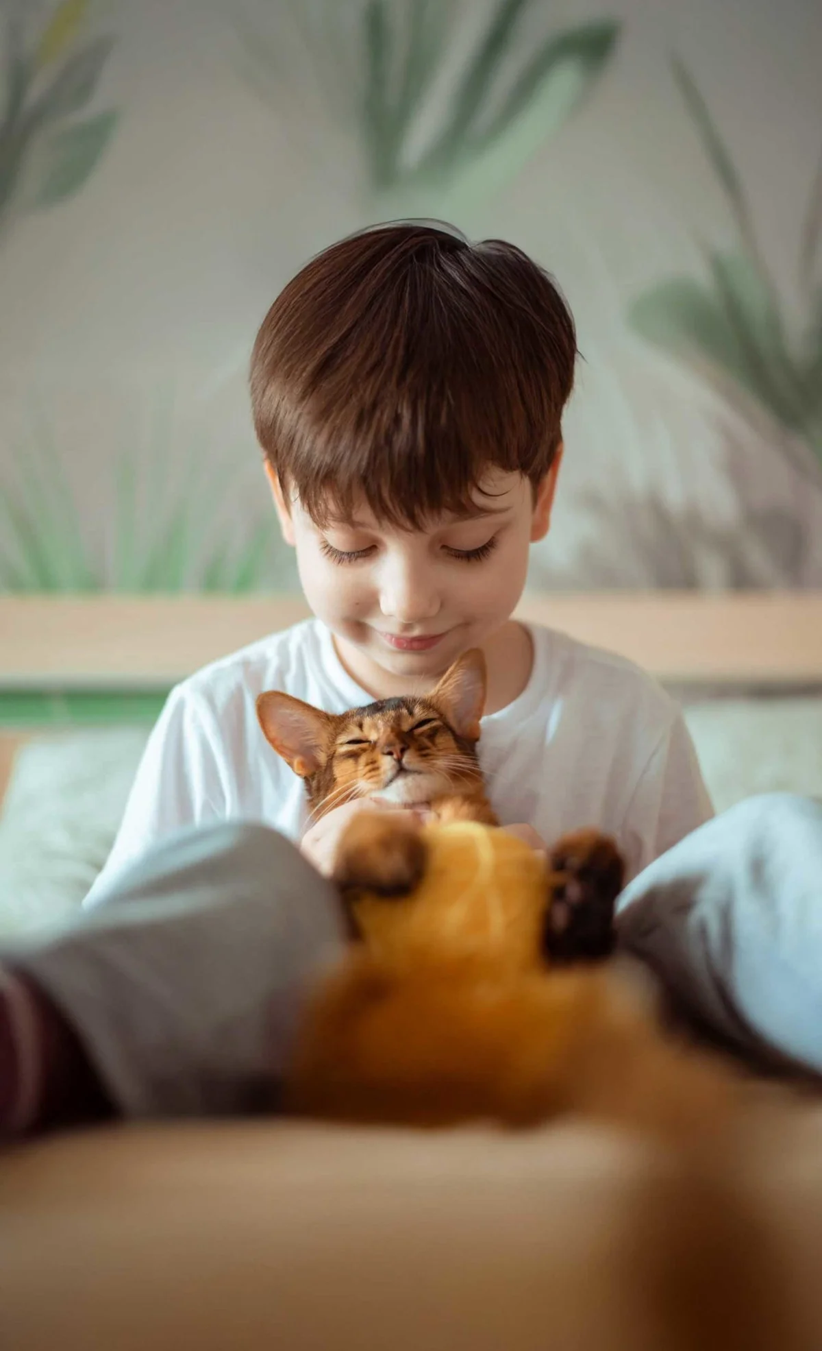 Mount Sinai Animal Hospital