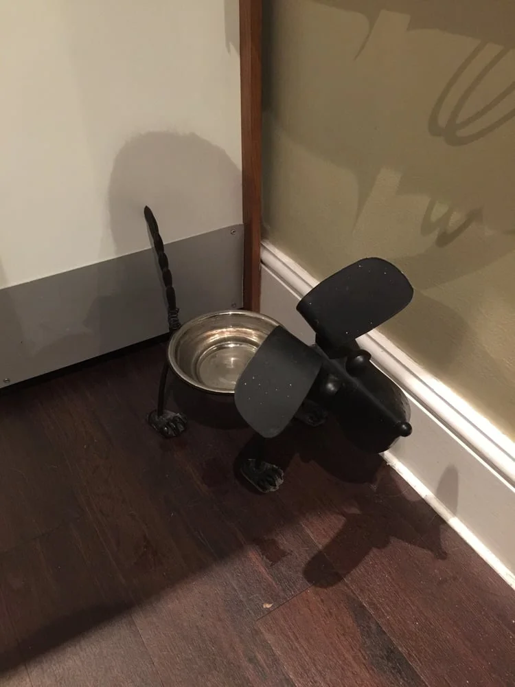 Hyde Park Veterinary Centre