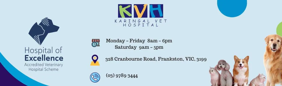 Karingal Vet Hospital