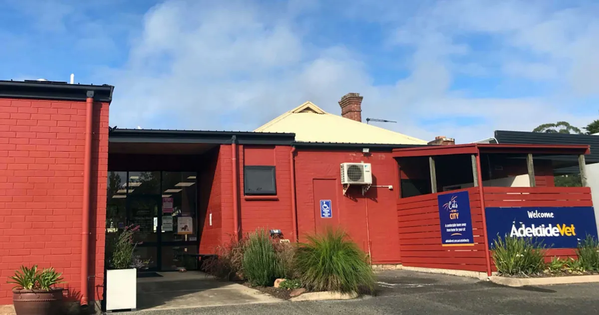AdelaideVet Stirling
