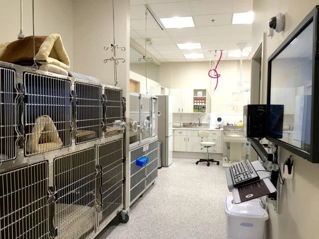 All Creatures Animal Hospital