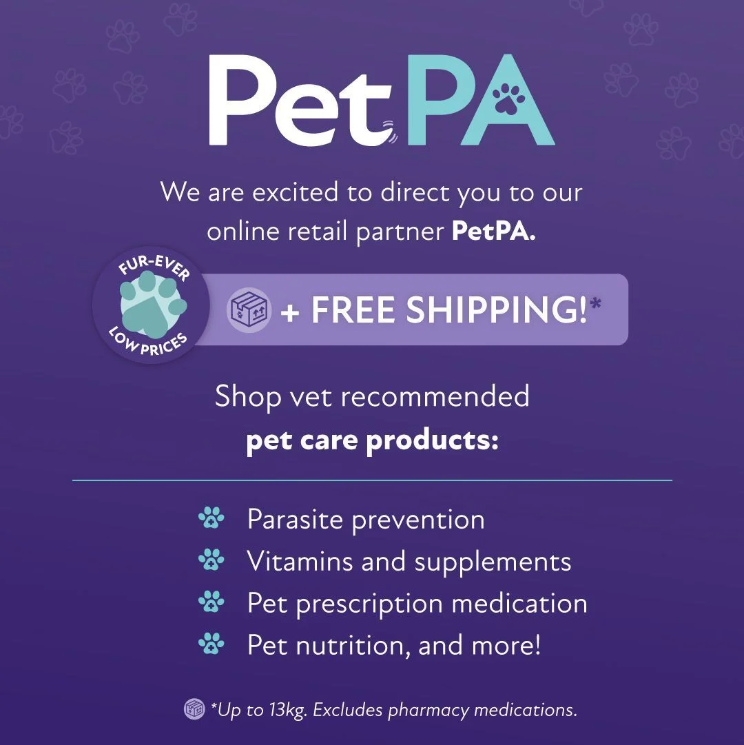 All Animal Veterinary Services