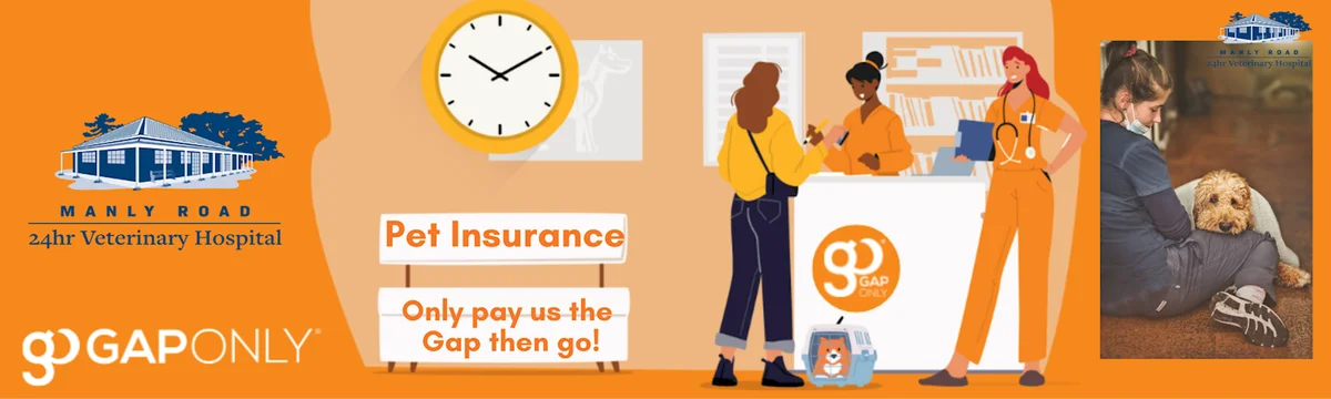 Manly Road Veterinary Hospital