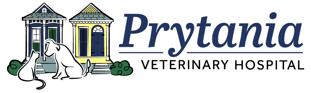 Prytania Veterinary Hospital