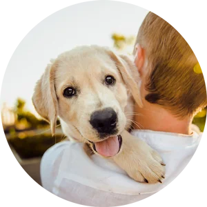 Berclair Animal Hospital