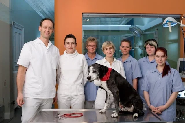 Tiermedizin am Rothenbaum