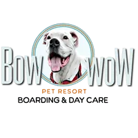 Bow Wow Pet Resort