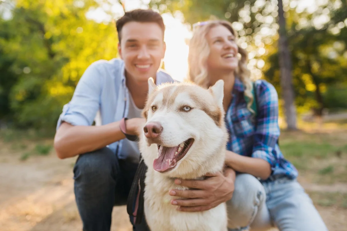 Boonville Animal Hospital