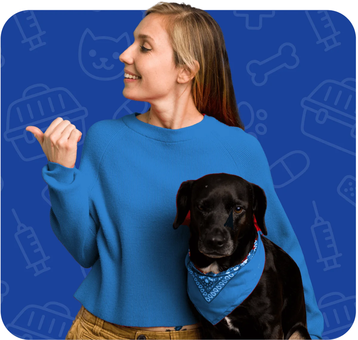 Jax Vets Affordable Animal Hospital