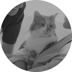 First State Urgent Vet