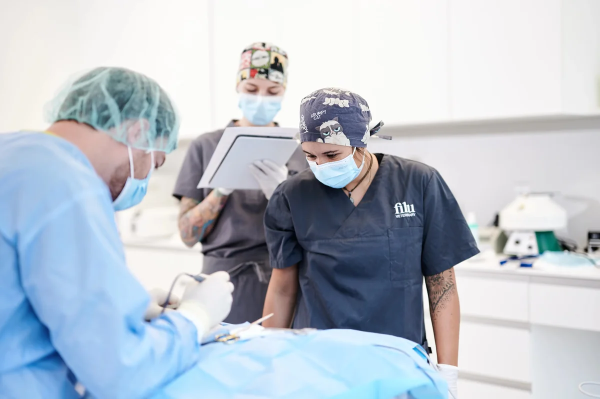 filu Tierarzt Theresienwiese