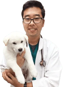 Belmont Heights Animal Hospital