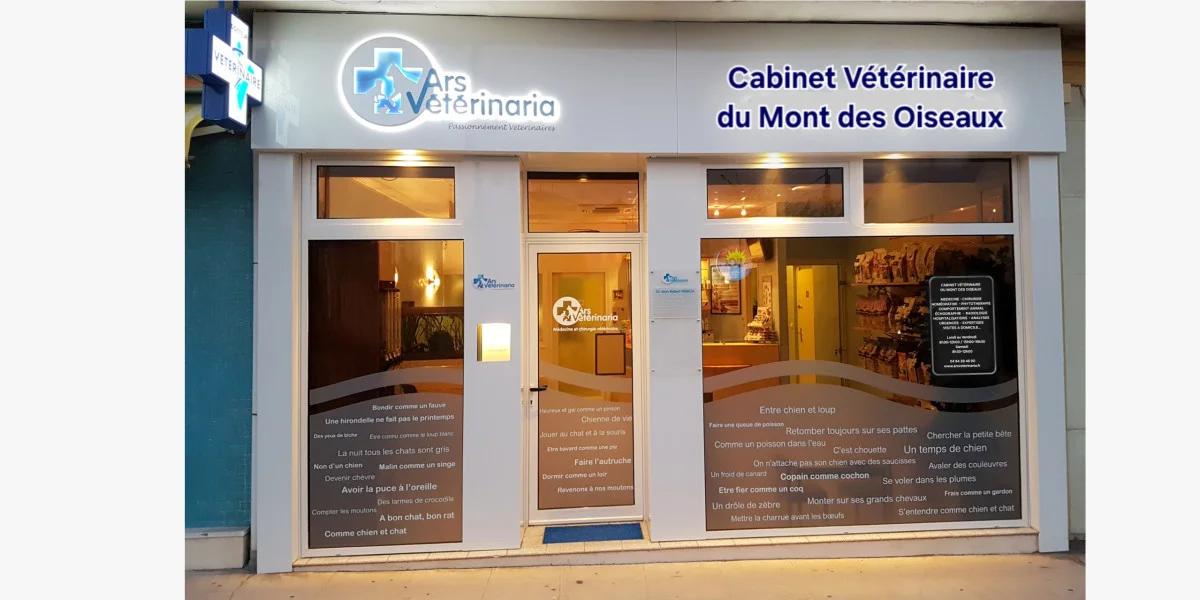 Clinique Veterinaire Du Mont Des Oiseaux