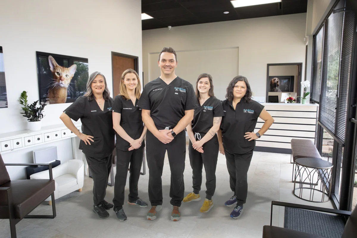 Blink Veterinary Eye Specialists