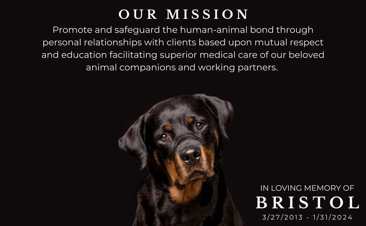 Bristol Veterinary Clinic