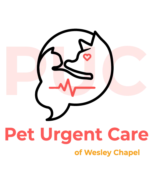 Pet Urgent Care of Wesley Chapel