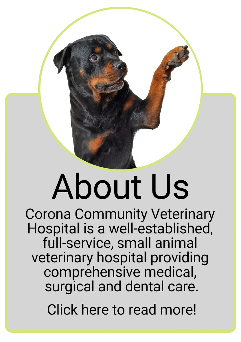 Corona Community Veterinary Hospital