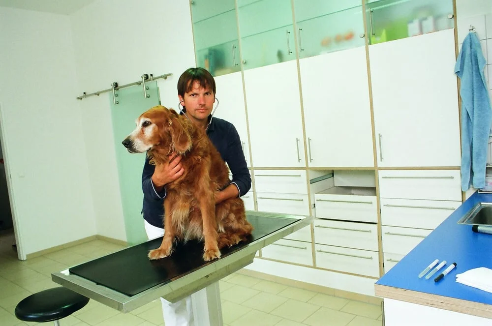 Tierarztpraxis Matthias Müller