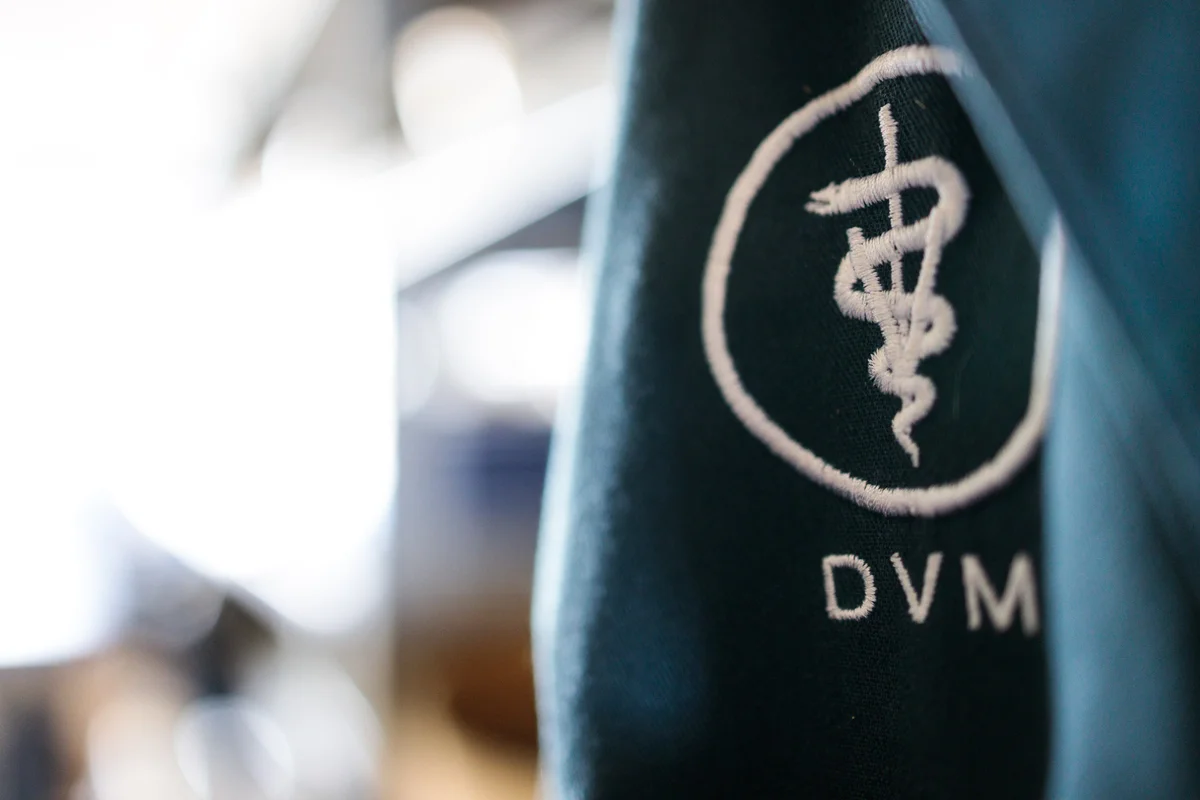 Springville Veterinary Services