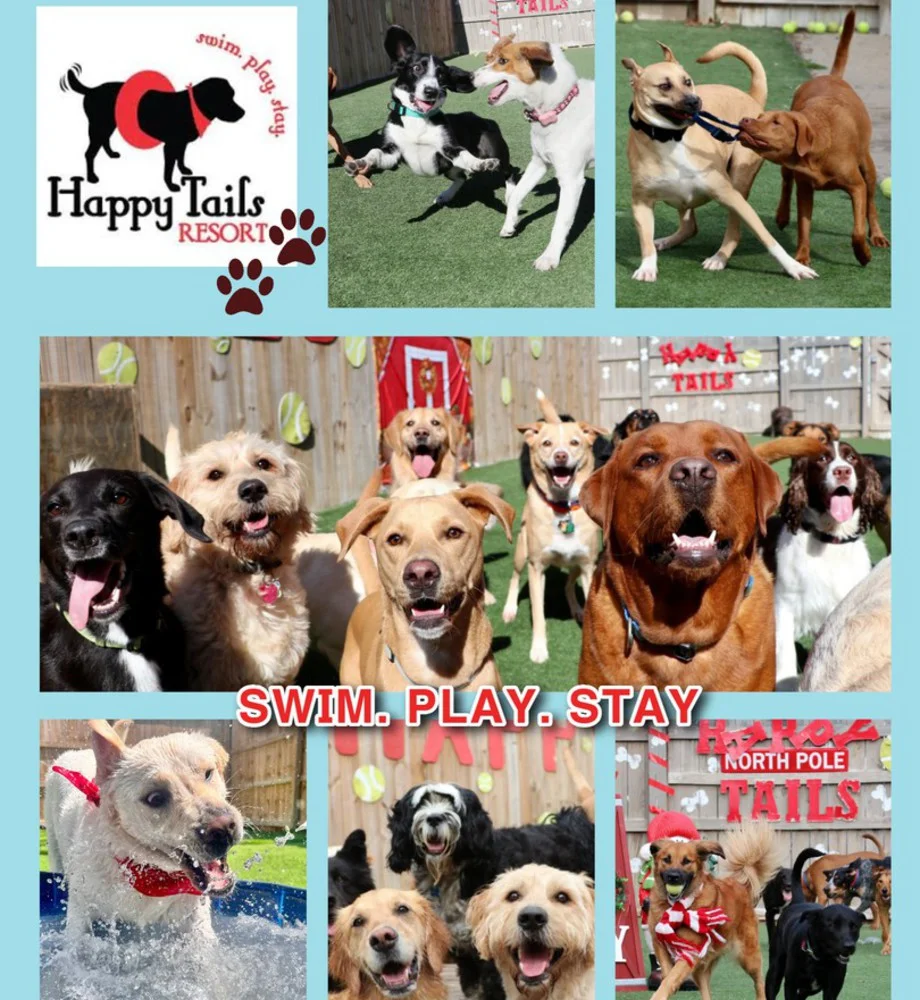 Happy Tails Resort