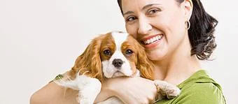 Auburn Veterinary Hospital