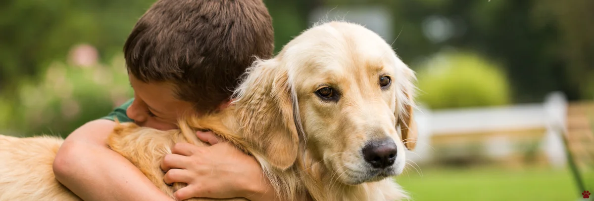 Pet Hospital in Tyler, TX