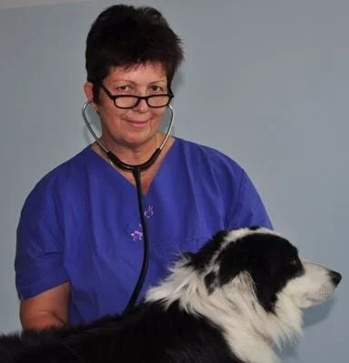 Tierarztpraxis am Velodrom