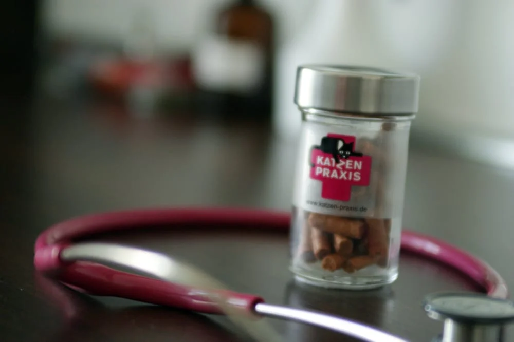 Tierärztliche Praxis für Katzen