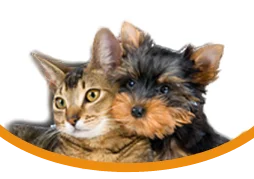 Randhurst Animal Hospital