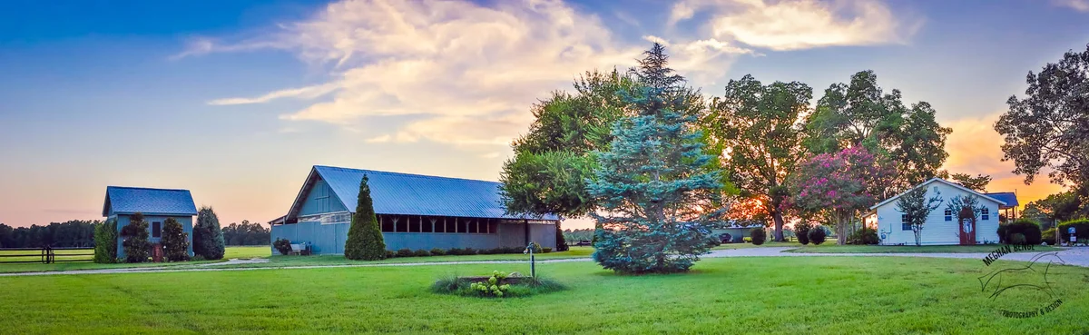 Aiken Equine Veterinary Associates