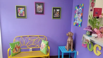 Dog Days Canine Playschool