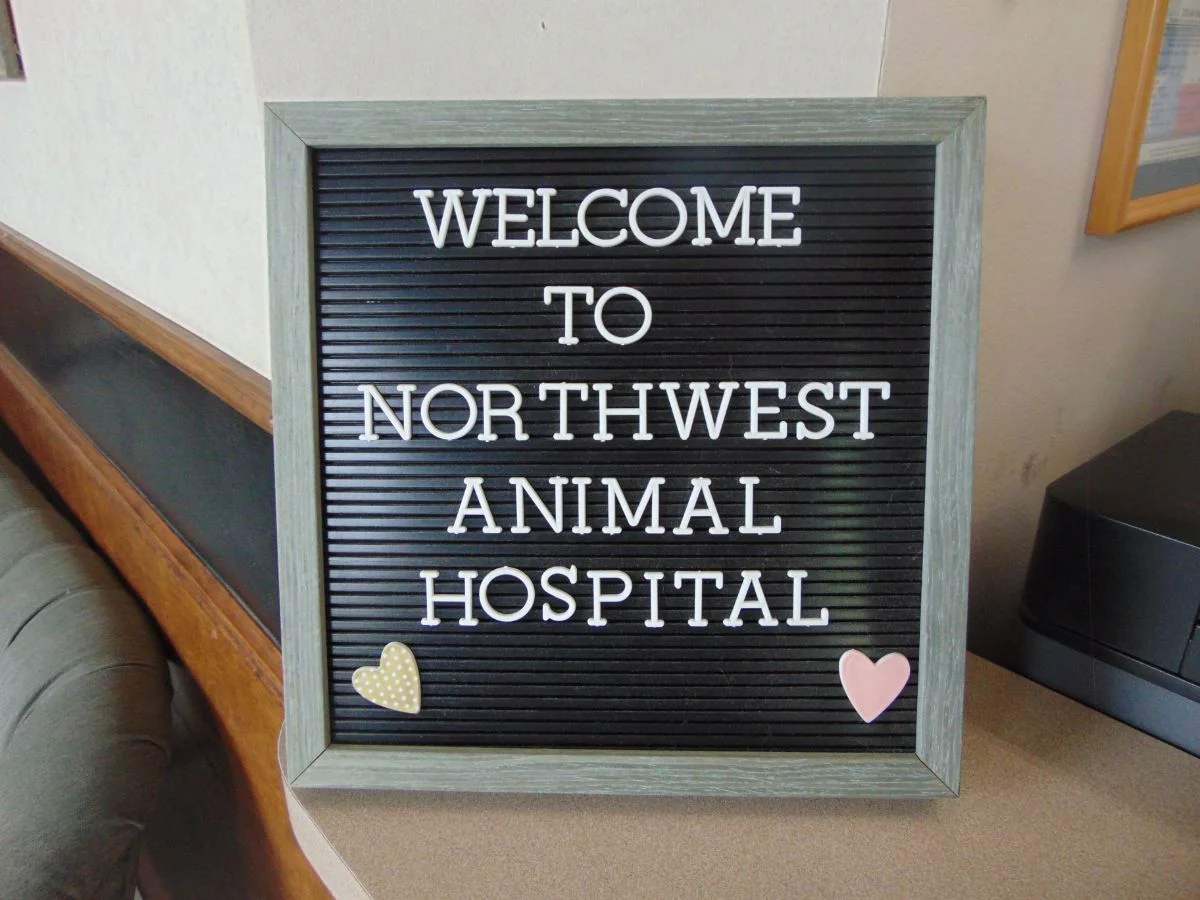 Northwest Animal Hospital