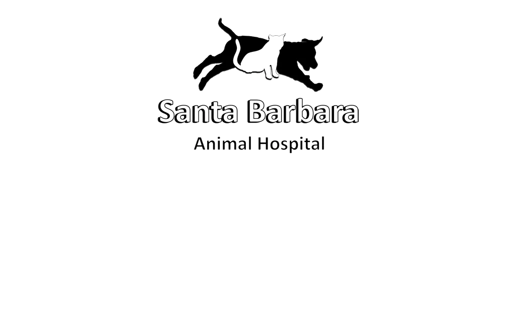 Santa Barbara Animal Hospital