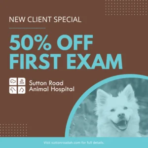 Sutton Road Animal Hospital