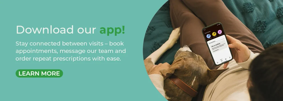 The Barn Animal Hospital