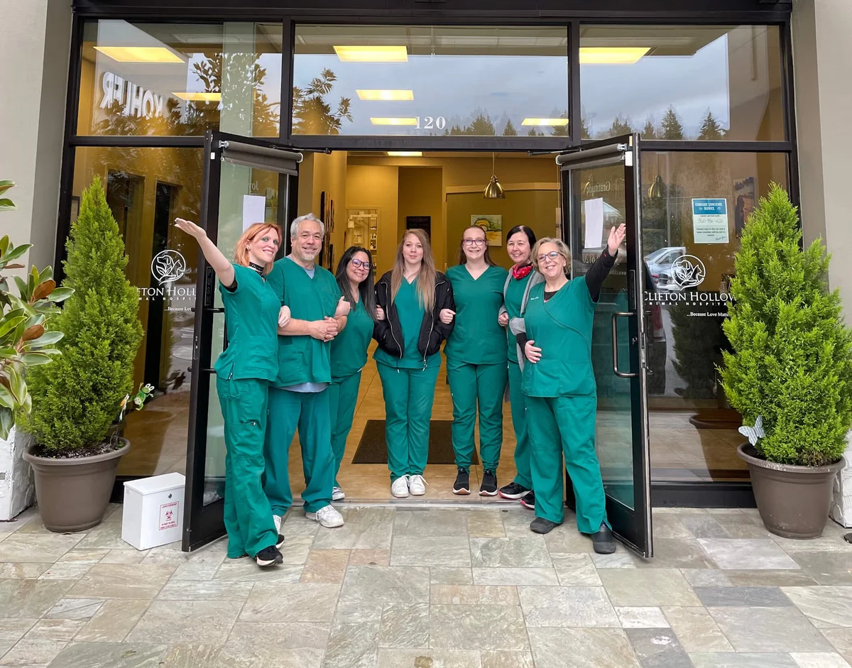 Clifton Hollow Animal Hospital