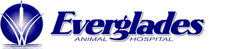 Everglades Animal Hospital