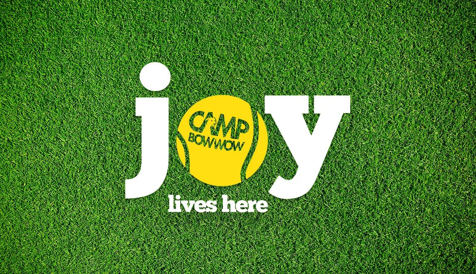 Camp Bow Wow Anaheim