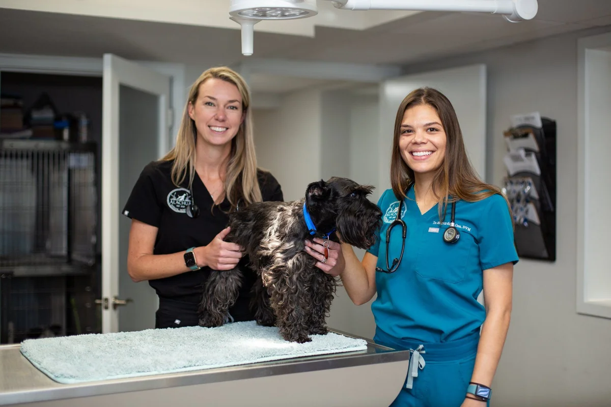 Alachua Animal Hospital