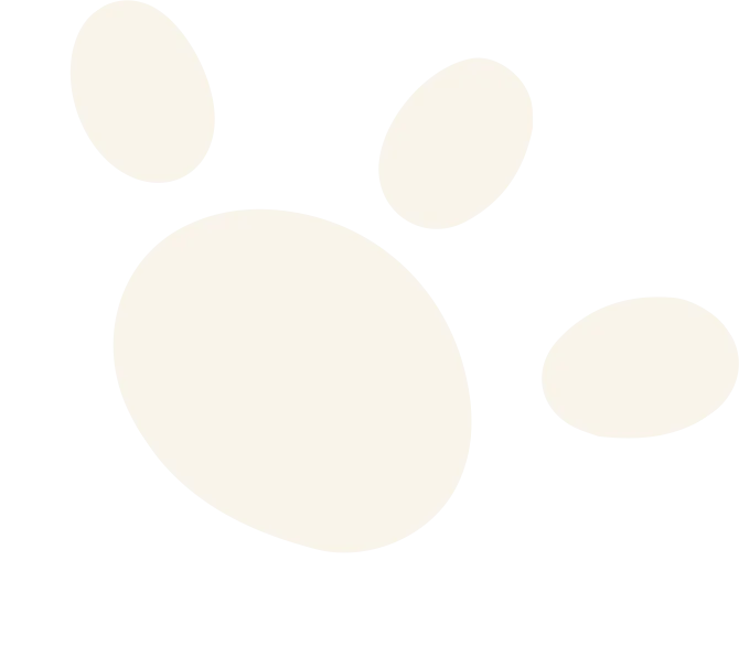 Buster's Pet Resort & DayCare